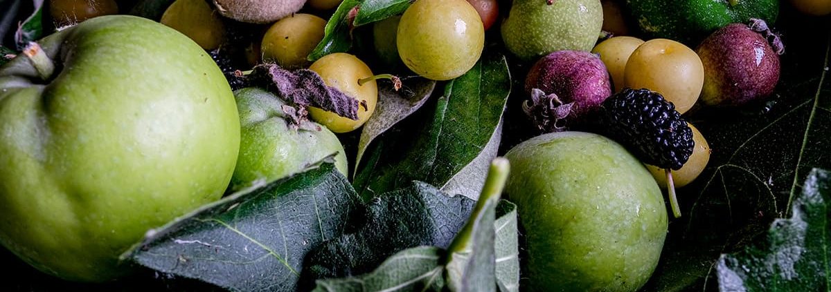 Frutta e verdura freschi