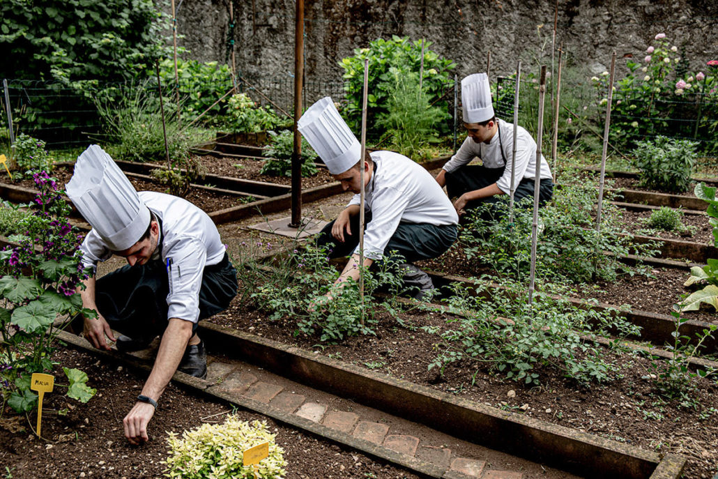 Avere un orto personale per una cucina italiana sostenibile