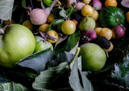 Frutta e verdura freschi