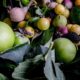 Frutta e verdura freschi